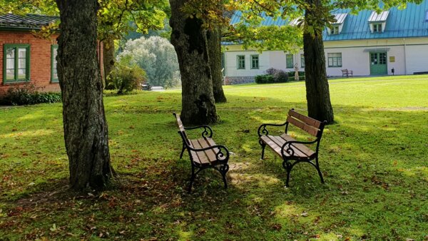 two iron benches with wooden seats in nature