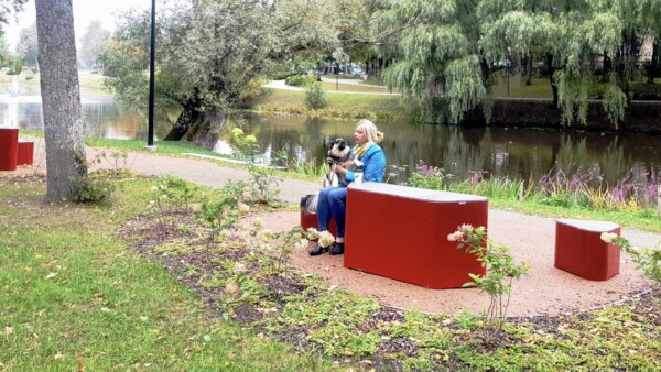 park bench in the park