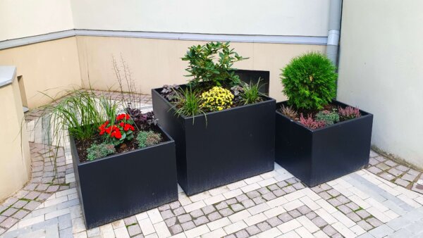 Square shaped flower pots from steel with flowers