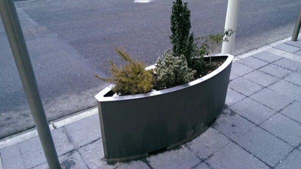 oval shaped outdoor planter in an urban environment