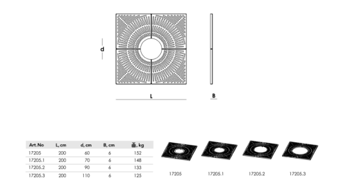 Root Guard 17202