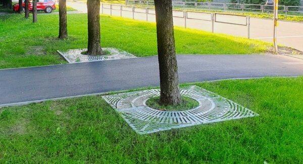 tree root guards square shaped around the trees