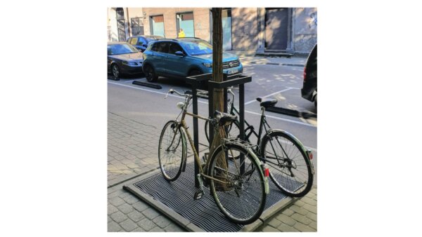 steel tree trunk guards with parked bikes